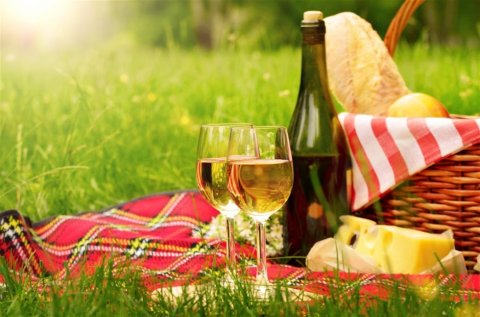 草地上的葡萄酒奶酪高清图片