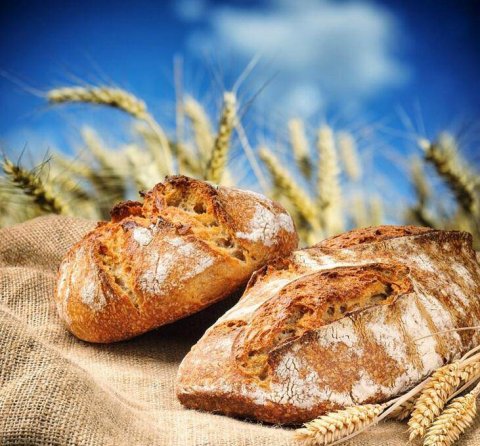 现烤面包超清摄影图片