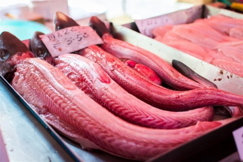 市场里的鱼肉等海鲜摄影大图